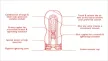 TENGA U.S. Deep Throat Cup mélytorok