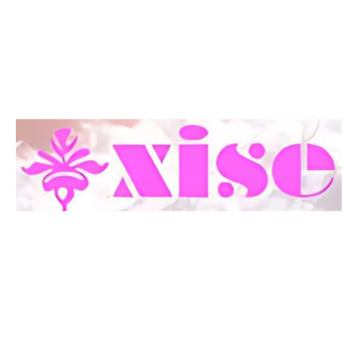 Xise logo